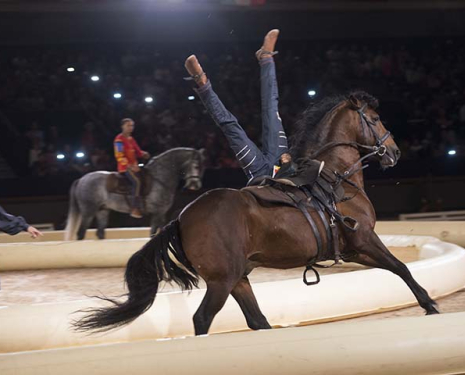 © &copy; Salon du Cheval / Association du Salon du Cheval