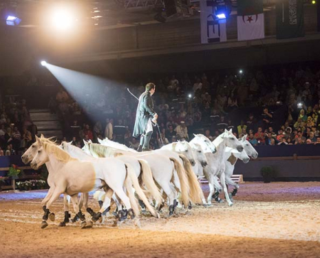 © &copy; Salon du Cheval / Association du Salon du Cheval