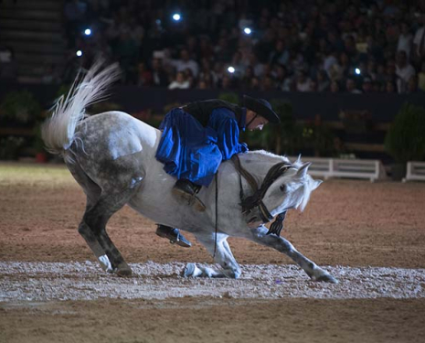 © &copy; Salon du Cheval / Association du Salon du Cheval
