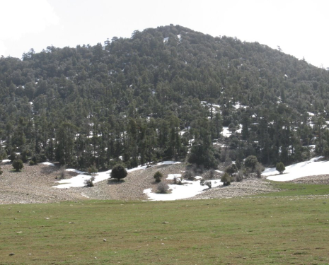 © &copy; panoramio / elakramine, http://www.panoramio.com/user/831427