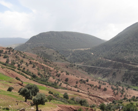 © &copy; panoramio / elakramine, http://www.panoramio.com/user/831427