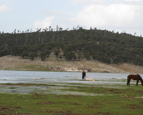 © &copy; panoramio / elakramine, http://www.panoramio.com/user/831427