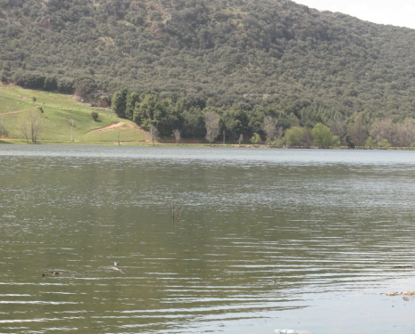 © &copy; panoramio / elakramine, http://www.panoramio.com/user/831427