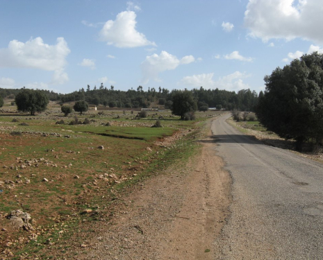 © &copy; panoramio / elakramine, http://www.panoramio.com/user/831427