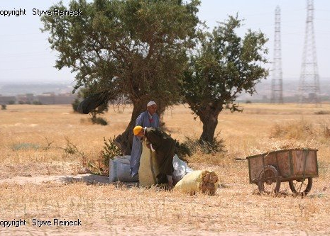 © &copy; panoramio / Styve Reineck, http://www.panoramio.com/user/240236