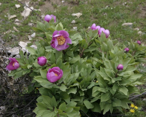 © &copy; panoramio / Juanlu Gonzalez, http://www.panoramio.com/user/473