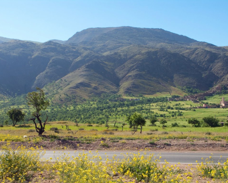 © &copy; panoramio / Aleksey Kotikov, http://www.panoramio.com/user/475190