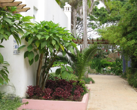 © &copy; panoramio / elakramine, http://www.panoramio.com/user/831427