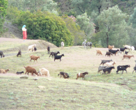 © &copy; panoramio / Miguel del Rif, http://www.panoramio.com/user/3425708