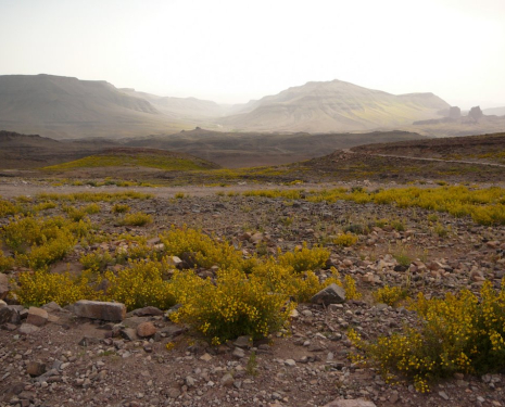 © &copy; panoramio / esquer01, http://www.panoramio.com/user/356448