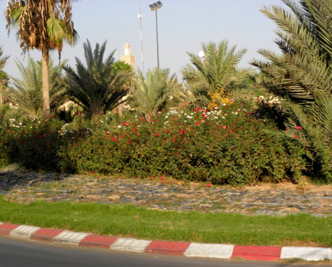 © &copy; panoramio / elakramine, http://www.panoramio.com/user/831427