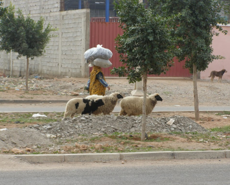 © &copy; panoramio / elcapitantrueno, http://www.panoramio.com/user/3550526