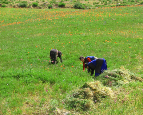 © &copy; panoramio / Tomás Paz, http://www.panoramio.com/user/1116880