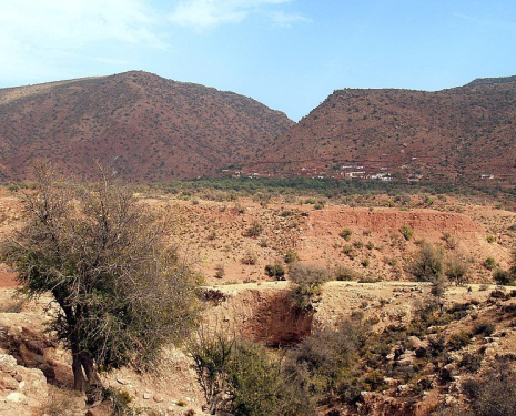 © &copy; panoramio / stego, http://www.panoramio.com/user/16778