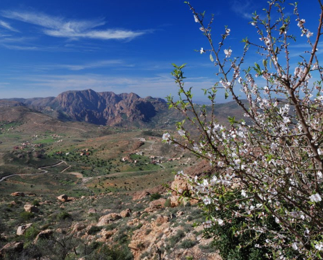 © &copy; panoramio / @mabut, http://www.panoramio.com/user/232099