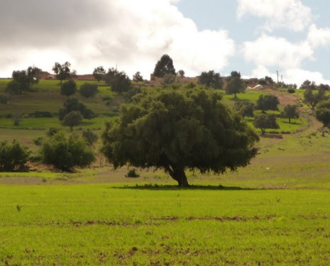 © &copy; panoramio / SambaSamba, http://www.panoramio.com/user/4238022