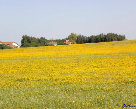 © &copy; panoramio / elakramine, http://www.panoramio.com/user/831427