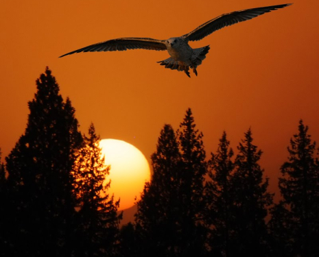 © &copy; panoramio / Margherita-Italy, http://www.panoramio.com/user/578163