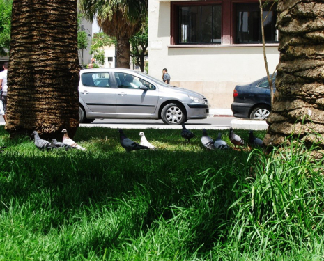 © &copy; oriental.ma / Agence de l'Oriental / L'agence de l'Oriental