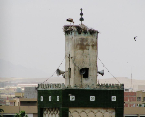 © &copy; oriental.ma / Agence de l'Oriental / L'agence de l'Oriental