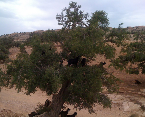 © &copy; panoramio / Paulucha, http://www.panoramio.com/user/5732961