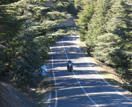 © &copy; panoramio / Tomás Paz, http://www.panoramio.com/user/1116880