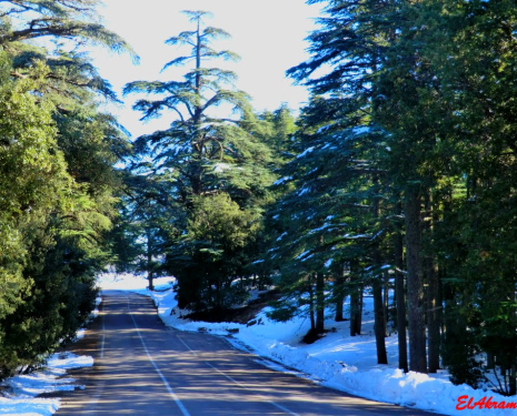 © &copy; panoramio / elakramine, http://www.panoramio.com/user/831427