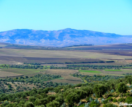 © &copy; panoramio / elakramine, http://www.panoramio.com/user/831427