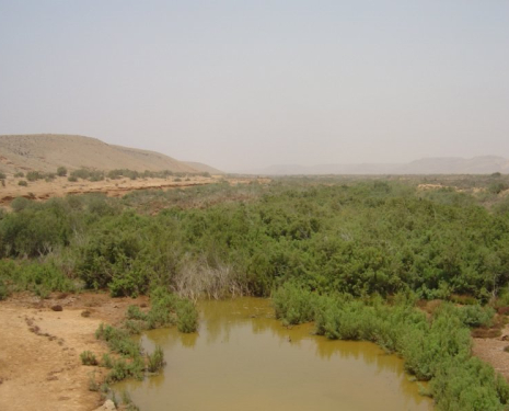 © &copy; panoramio / Ben de Graaf Bierbrauwer, http://www.panoramio.com/user/1138231