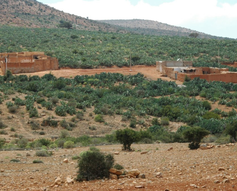 © &copy; panoramio / Ben de Graaf Bierbrauwer, http://www.panoramio.com/user/1138231