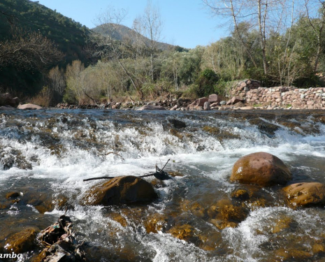 © &copy; panoramio / Samba, http://www.panoramio.com/user/4238022