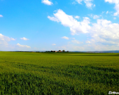 © &copy; panoramio / elakramine, http://www.panoramio.com/user/831427