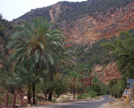 © &copy; panoramio / vom Thüringer, http://www.panoramio.com/user/2742393