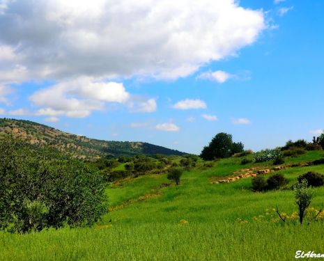 © &copy; panoramio / elakramine, http://www.panoramio.com/user/831427