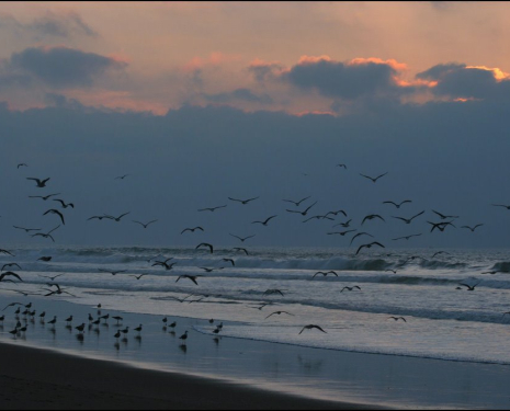 © &copy; panoramio / OxyPhoto.ru - O x y, http://www.panoramio.com/user/304324