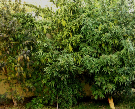 © &copy; panoramio / peter I. martin, http://www.panoramio.com/user/7936