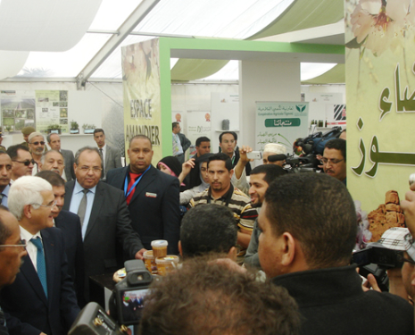 © &copy; festivalamandiers.ma / Association Louz Tafraout, festivalamandiers.ma