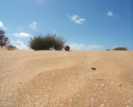 © &copy; panoramio / DanaSun, http://www.panoramio.com/user/6272741