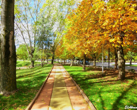 © &copy; panoramio / elakramine, http://www.panoramio.com/user/831427