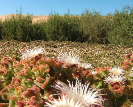 © &copy; panoramio / DanaSun, http://www.panoramio.com/user/6272741