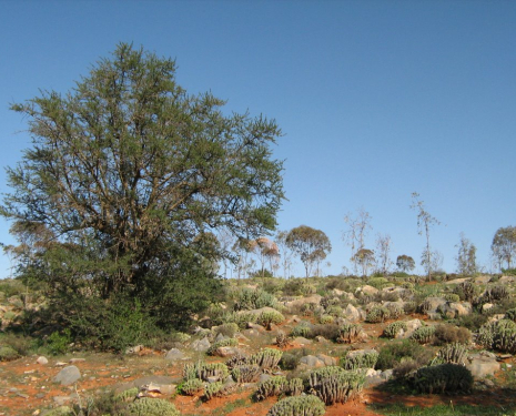 © &copy; panoramio / Michal.Hugo.Kostal, http://www.panoramio.com/user/1190143