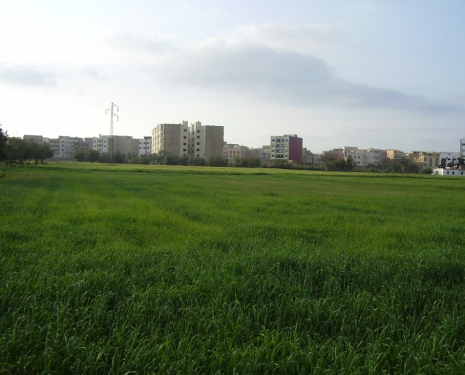 © &copy; panoramio / elakramine, http://www.panoramio.com/user/831427