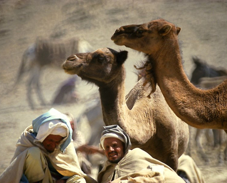 © &copy; panoramio / Patrick Flament, http://www.panoramio.com/user/11971