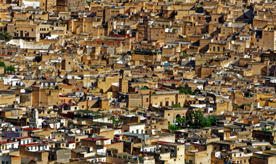Visite guidée de la Médina de Fès, Fès-Médina