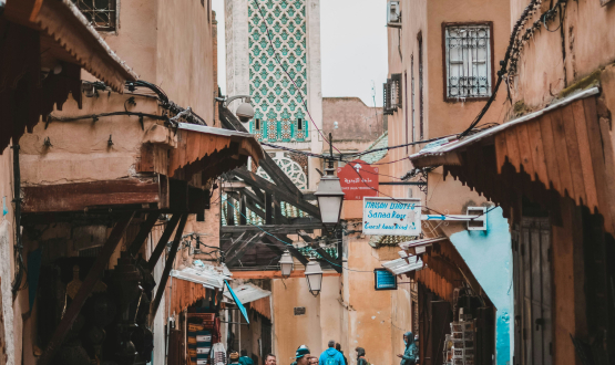 Excursion d'une Journée à Fès, Fès-Médina