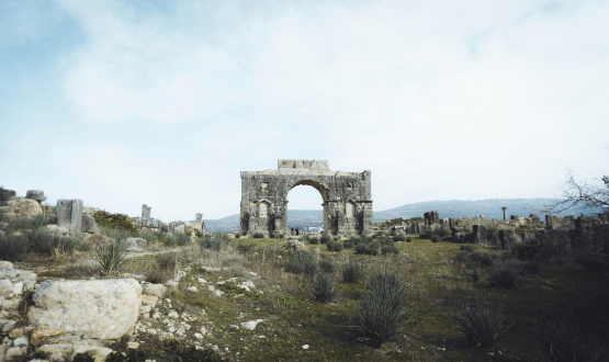 Excursion privée à Volubilis, Moulay Idriss et Meknès, Meknès