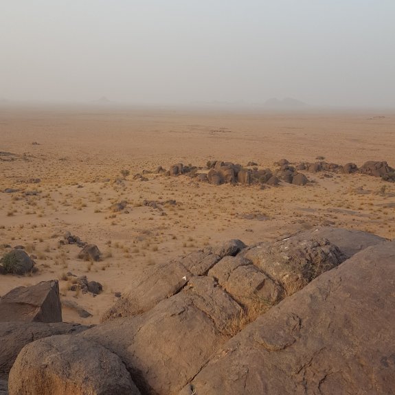 أوسرد