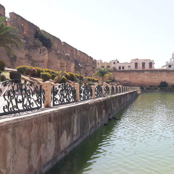 Sahrij Swani : Un Joyau Historique de Meknès