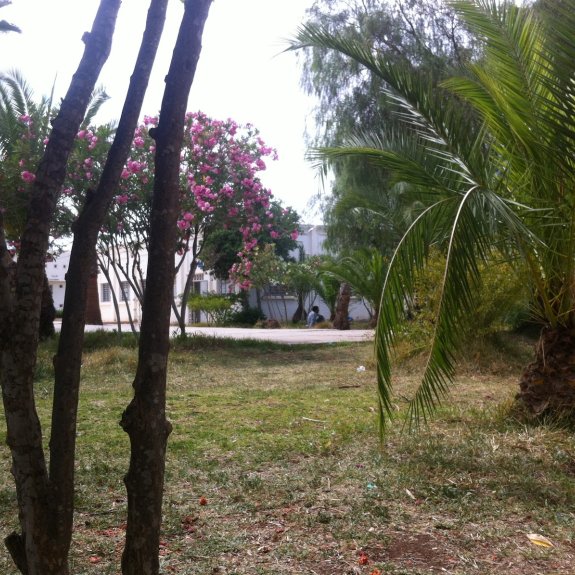 Faculty of Arts and Social Sciences - Sais