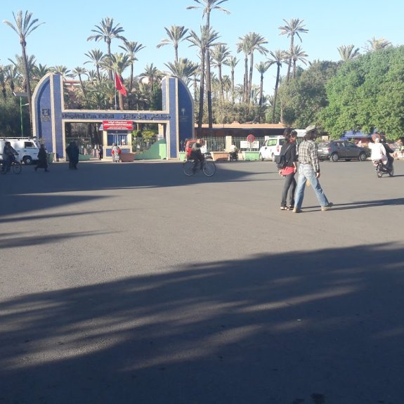 Hospital Ibn Tofail